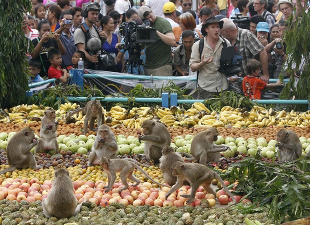 (Foto: Divulgação)