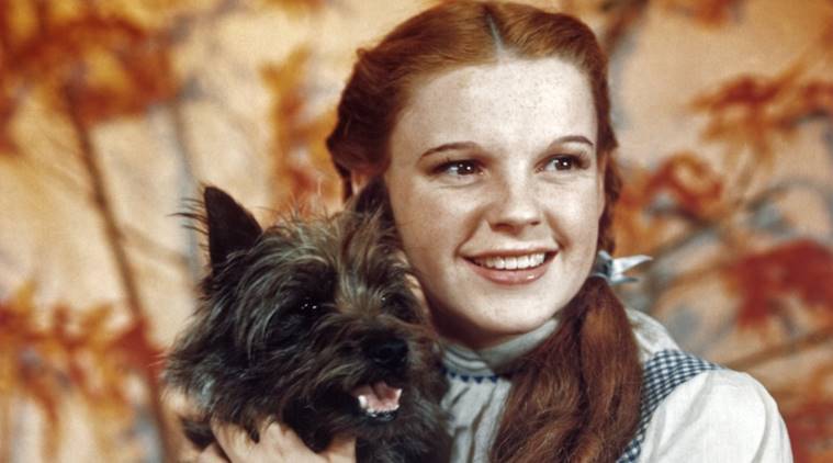 Judy Garland, as character Dorothy Gale, holds Toto in a publicity still for "The Wizard of Oz". (Photo by Herbert Dorfman/Corbis via Getty Images)