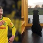 emiliano sala