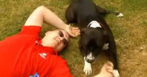 cachorro