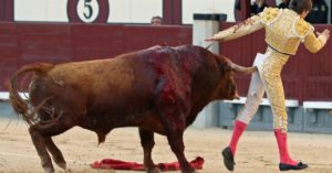 toureiro