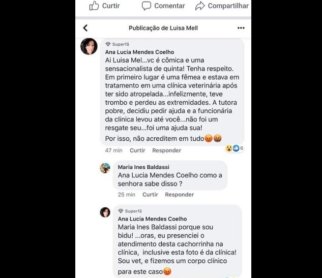 luisa mell comentário