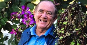 renato aragão didi