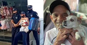 idoso é agredido