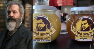 mel gibson