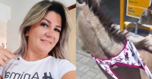 Stefani Rodrigues jumento
