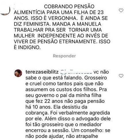 Comentário Tereza Seiblitz - Instagram
