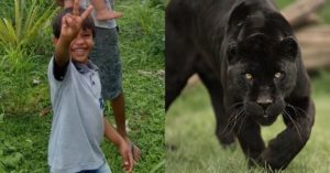 Menino - ataque onça - Brasil novo Pará