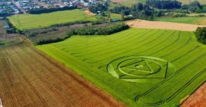 Agroglifo