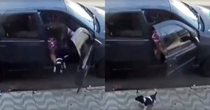 Mulher abandona cachorro - Catalão