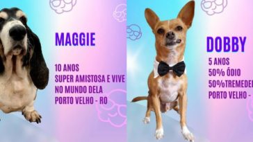 Big Dog Brasil - Maggie e Dobby