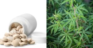 Clonazepam - maconha rivotril