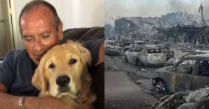 Franklin Trejos - cachorro - incêndio Havaí