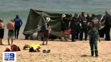 surfista atacado tubarão - Austrália