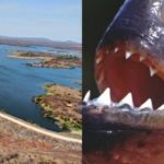 Açude Trussu - Ceará - Piranhas-Brancas